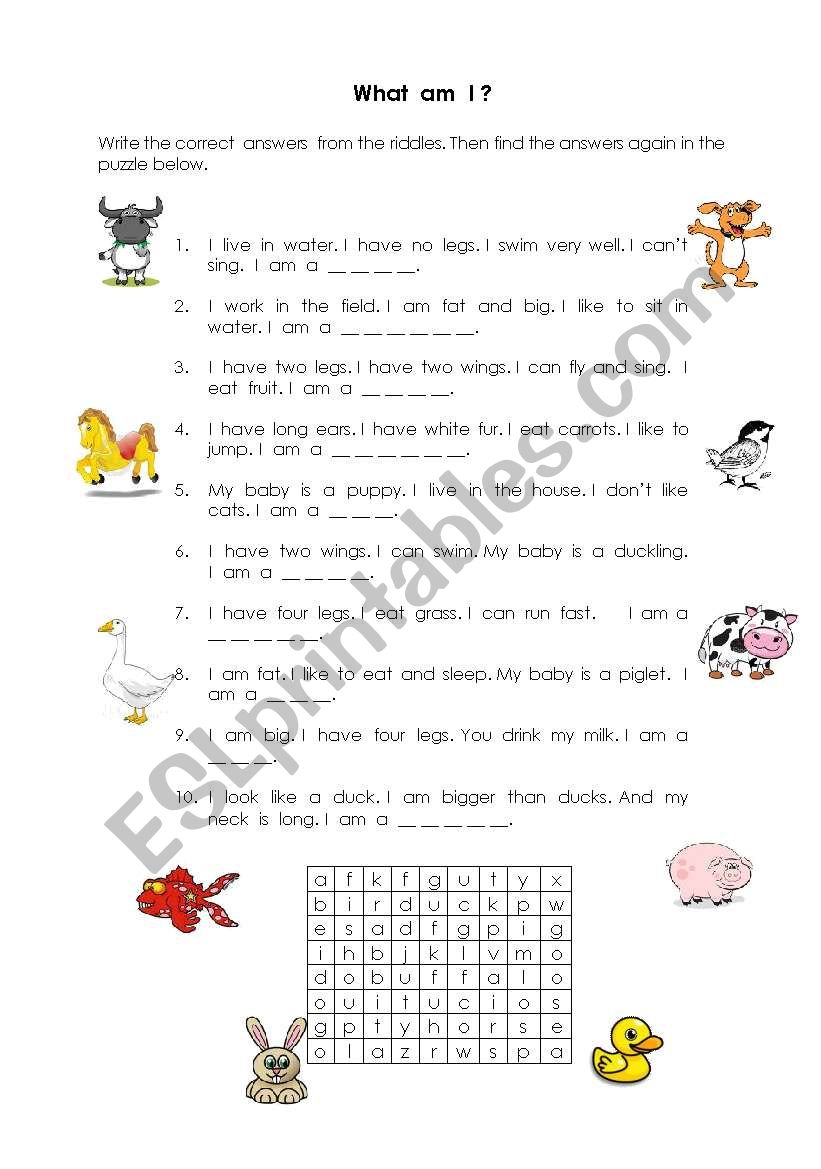 Animal riddles worksheet