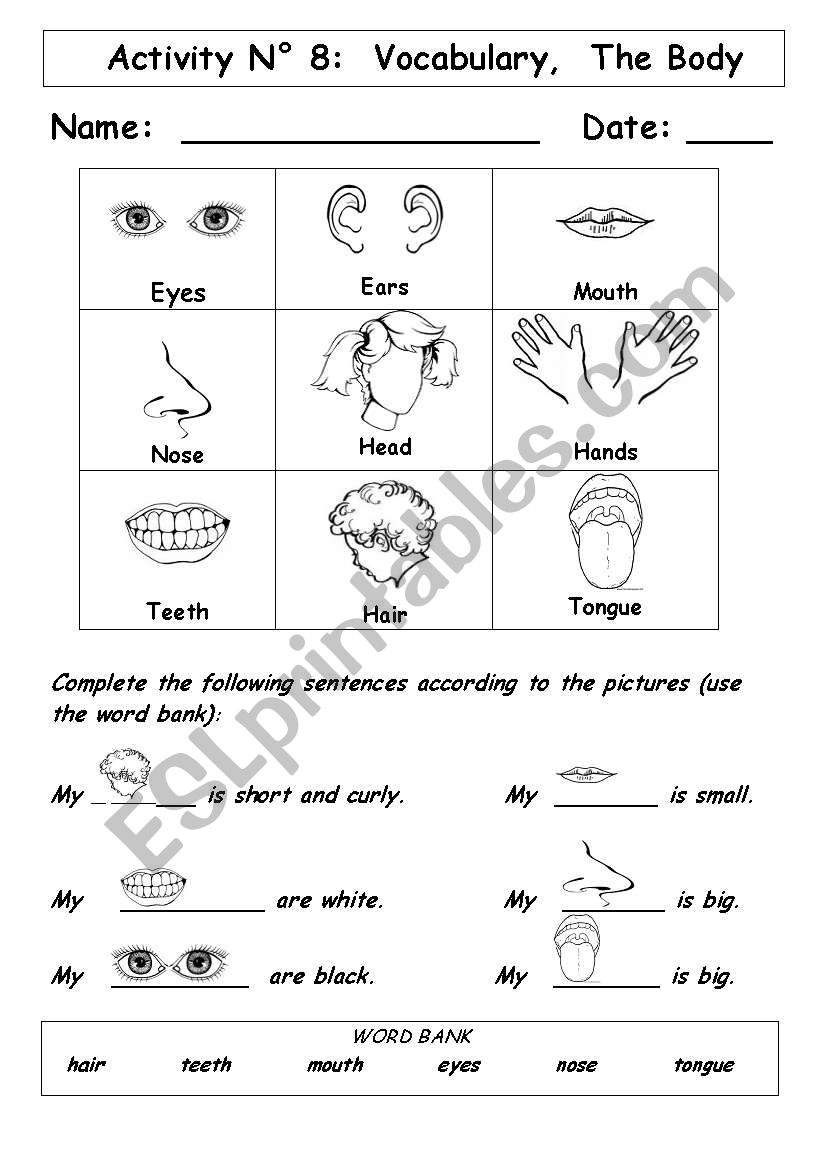 The Body  worksheet