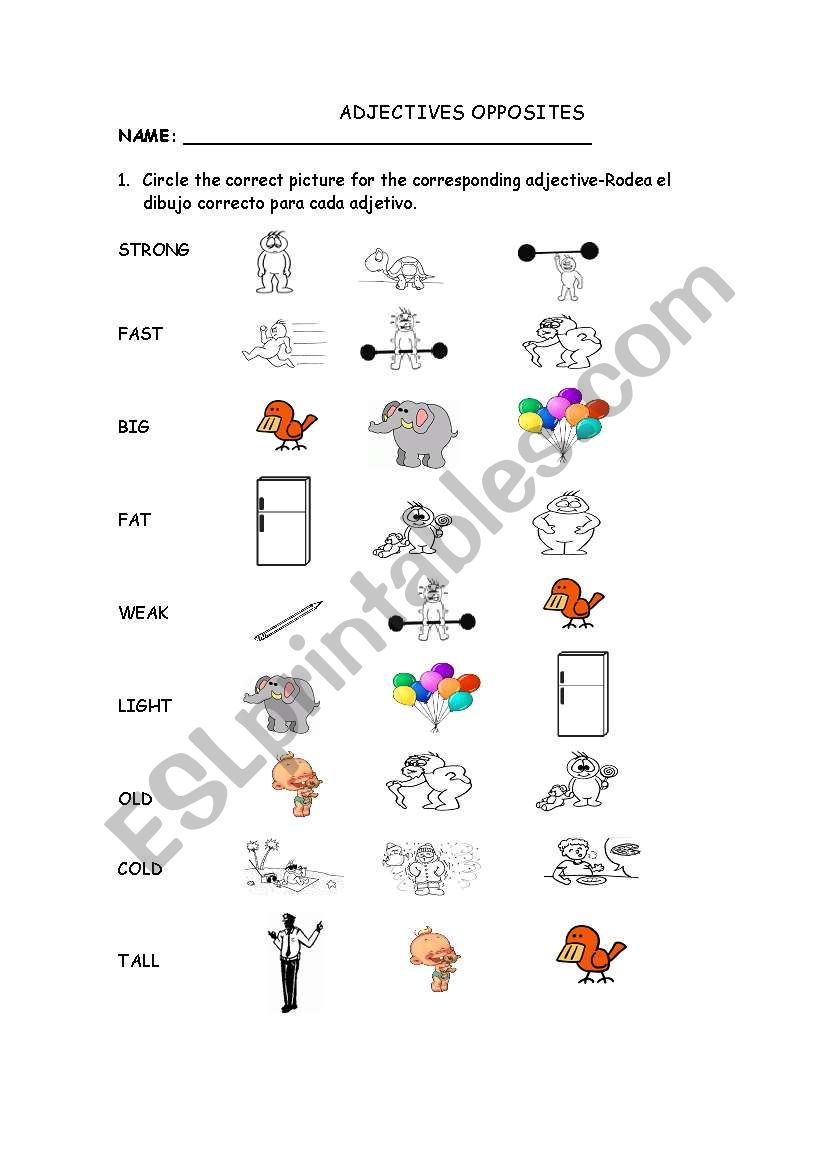 ADJECTIVES OPPOSITES worksheet