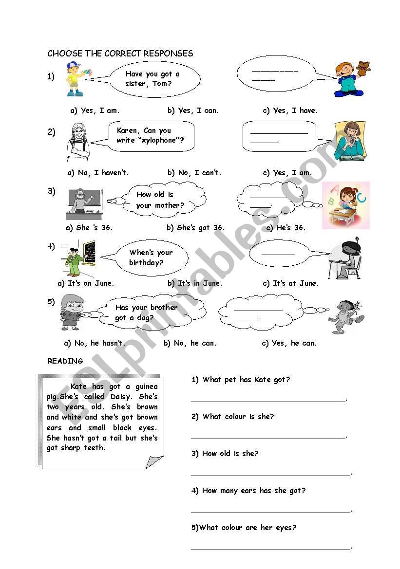 CHOOSE THE CORRCET RESPONSES worksheet