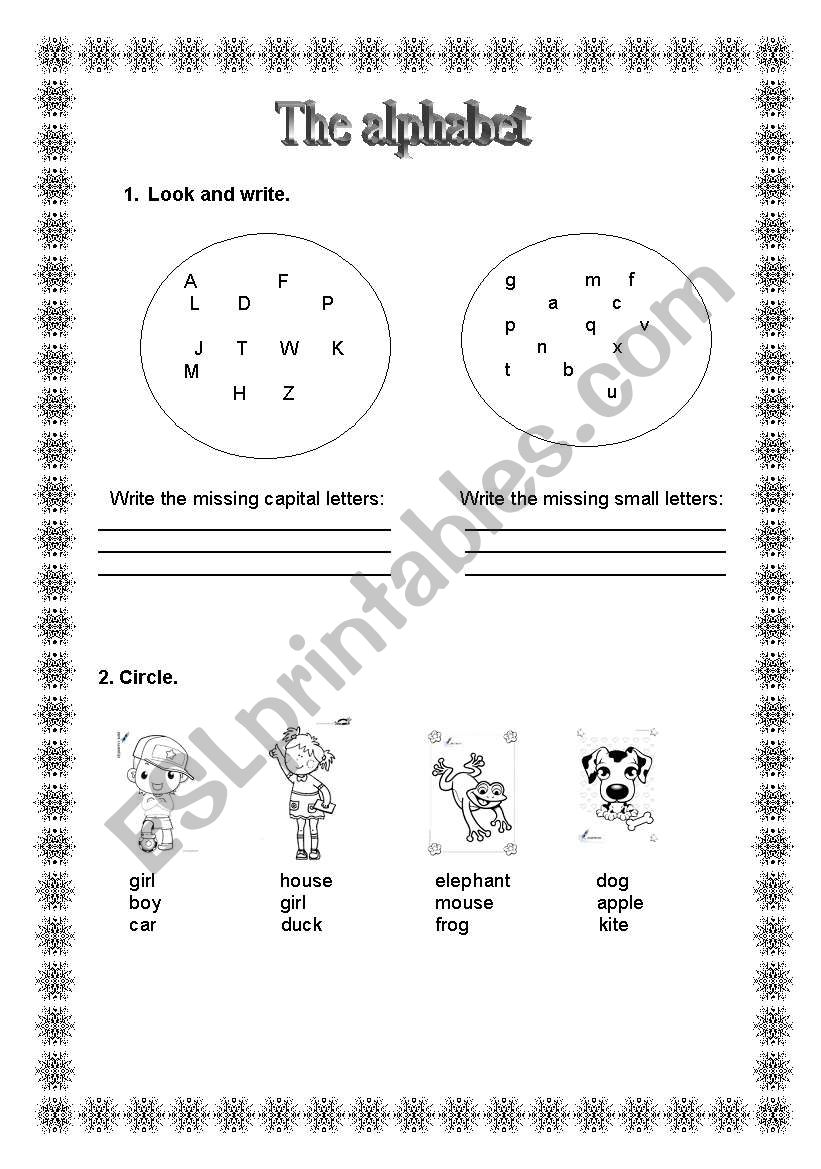 the alphabet worksheet