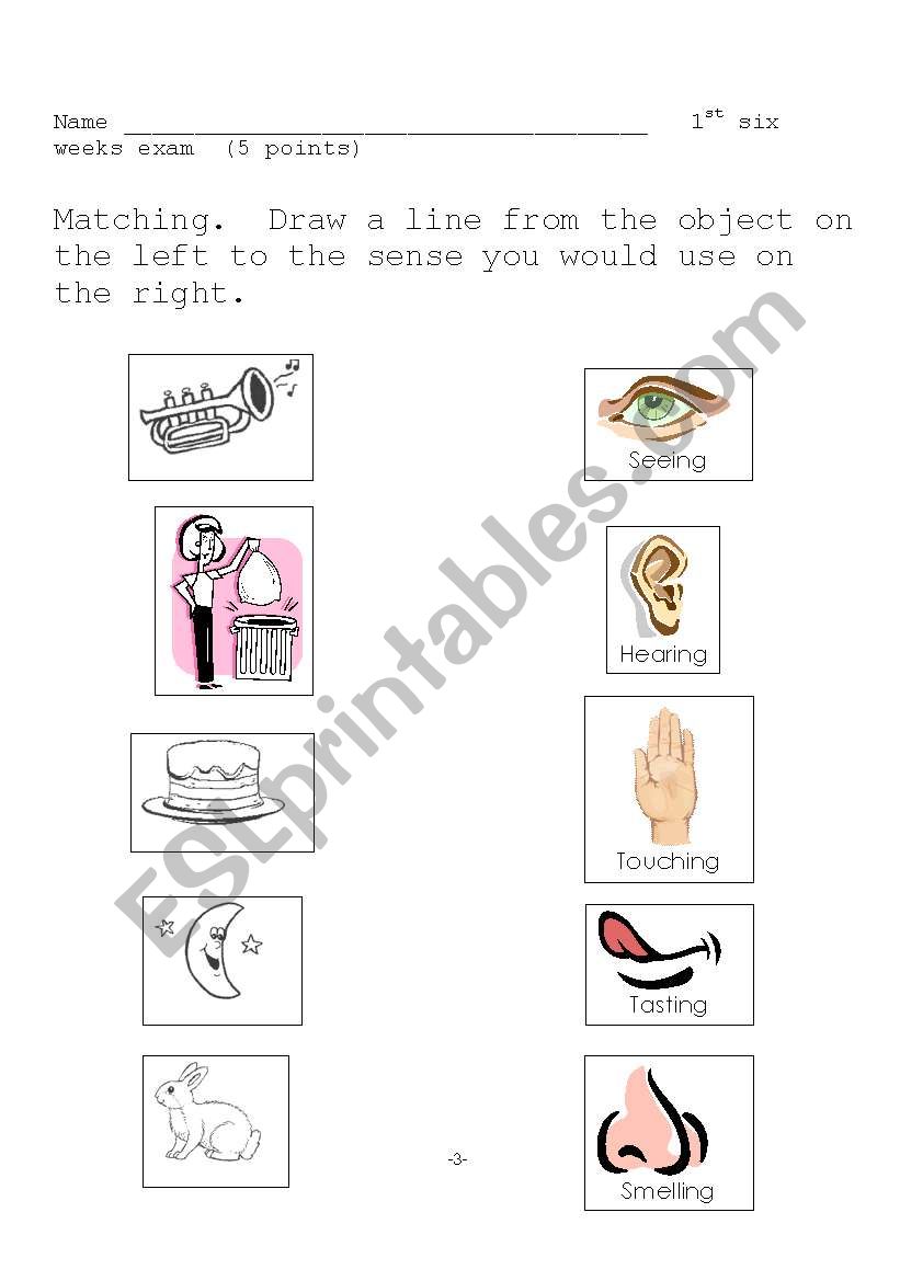 Five Senses worksheet