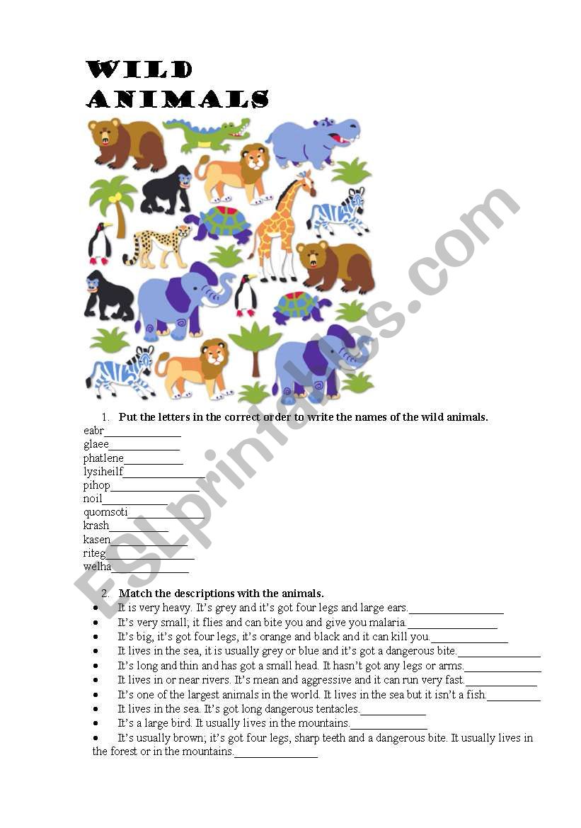 wild animals worksheet