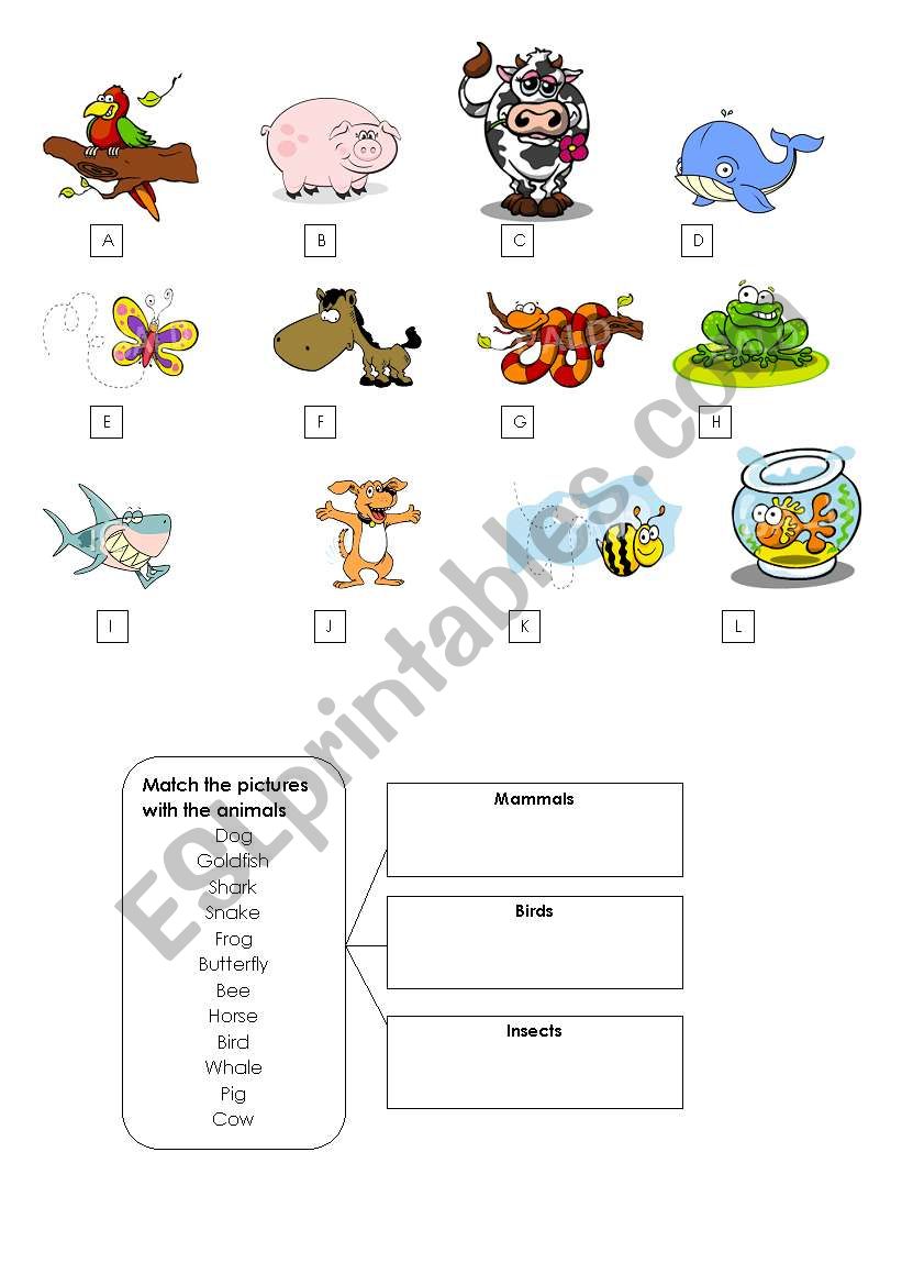 Animals worksheet