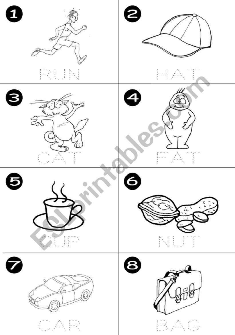 Phonics worksheet 3 worksheet