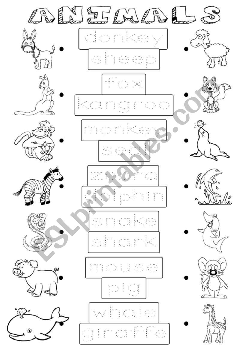 Animals worksheet