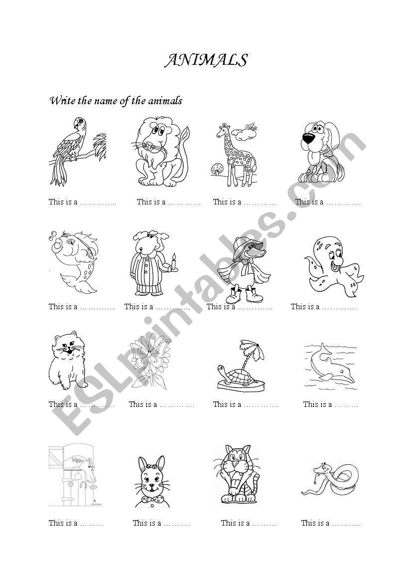 Animals worksheet