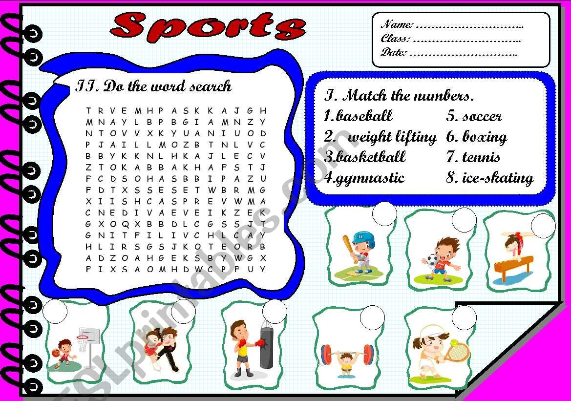 sports worksheet