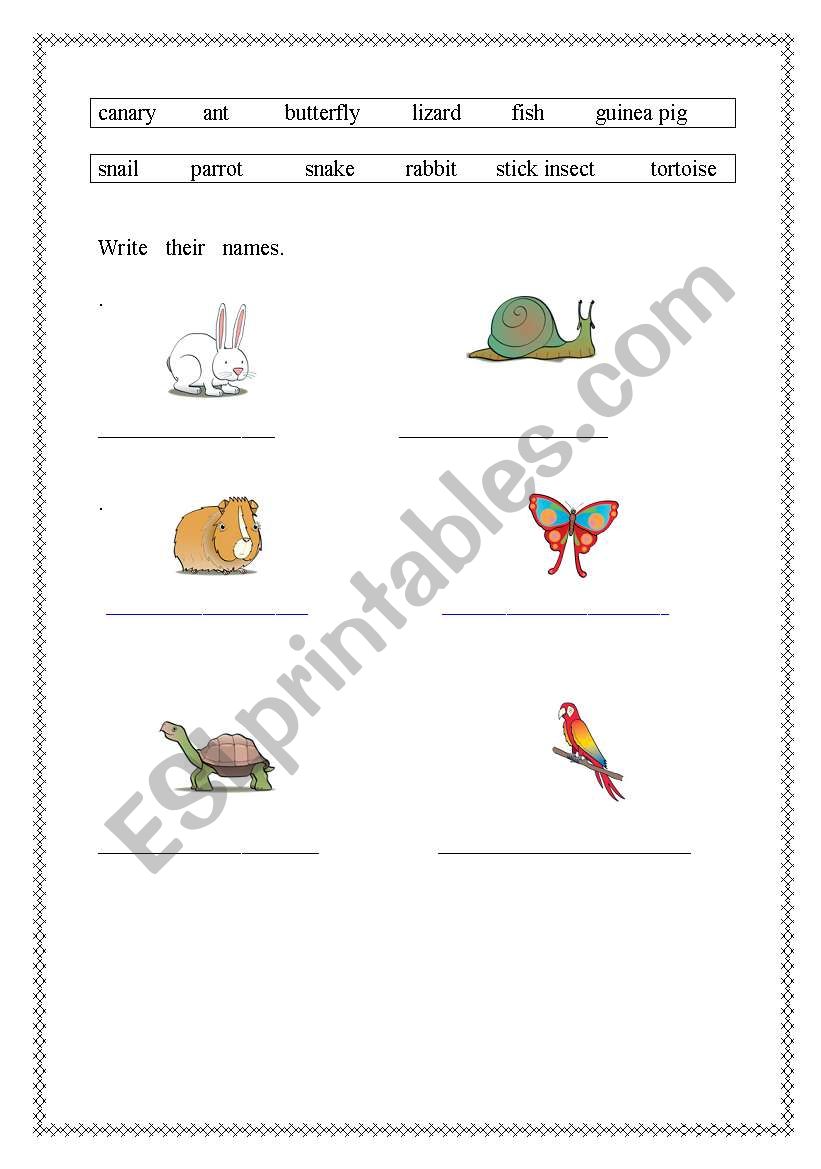 wild animals worksheet