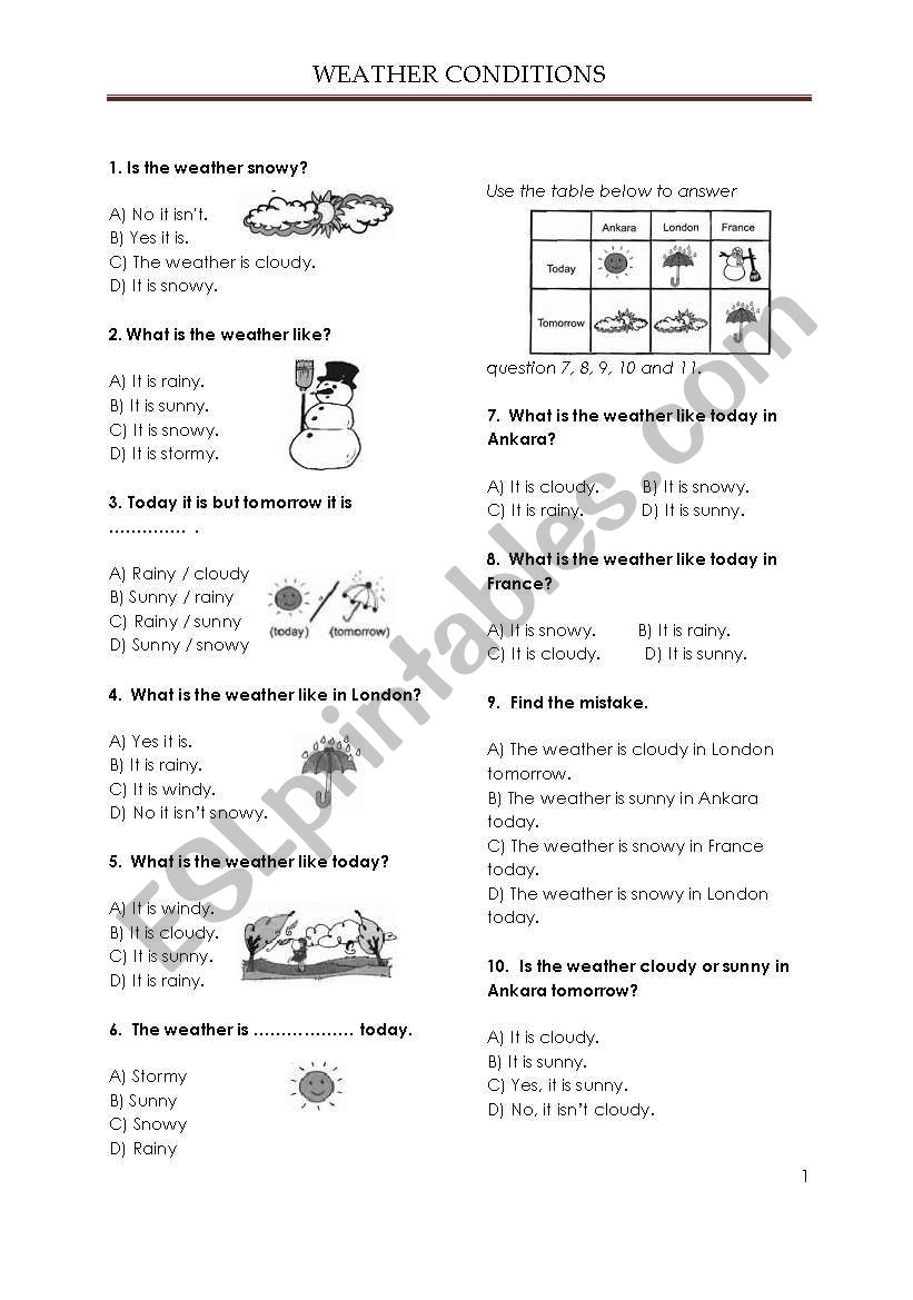 Weather Conditions Test worksheet