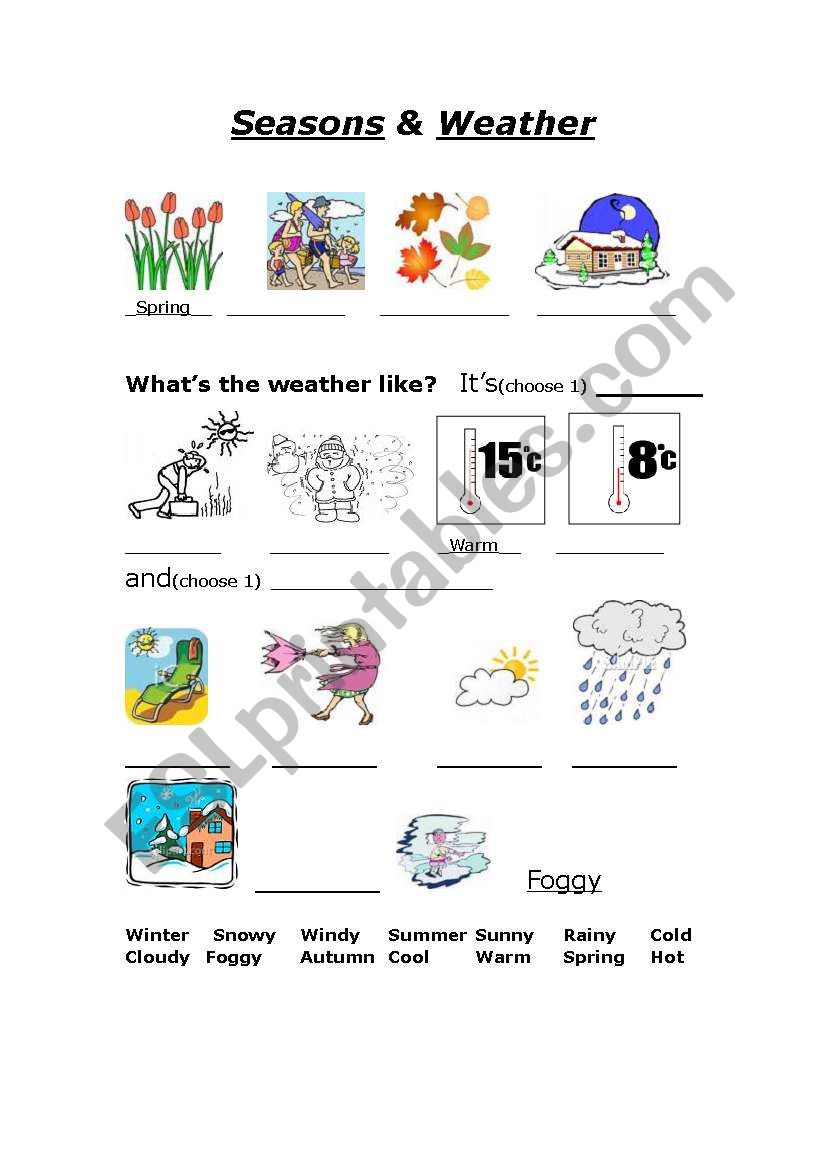 Seasons Weather worksheet