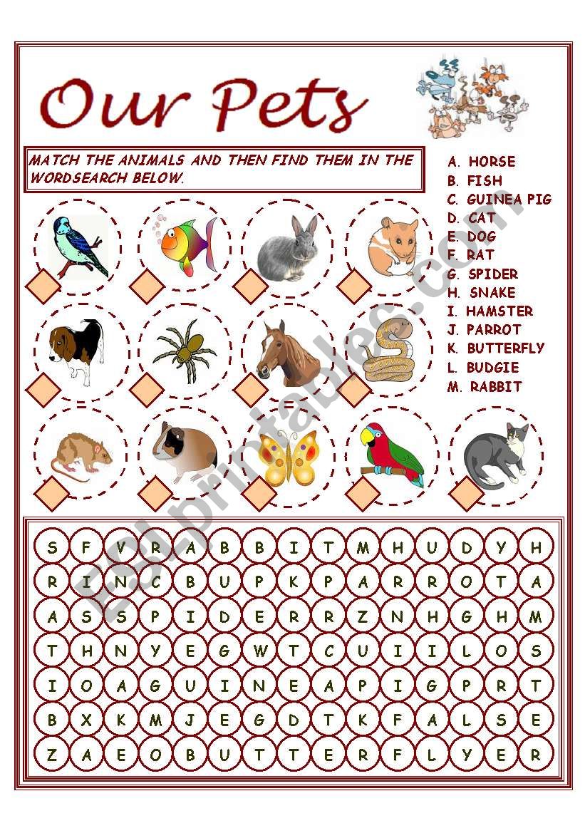 OUR PETS - VOCABULARY worksheet