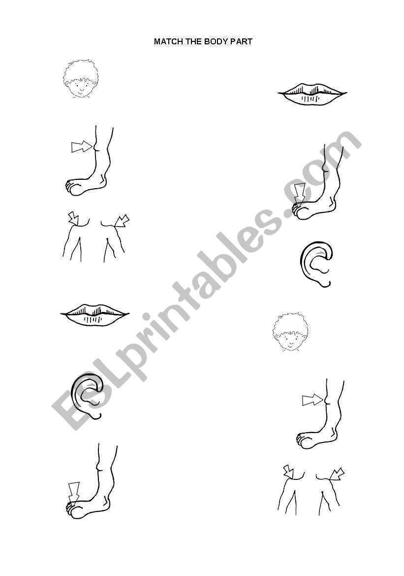 English worksheets: Match the body part