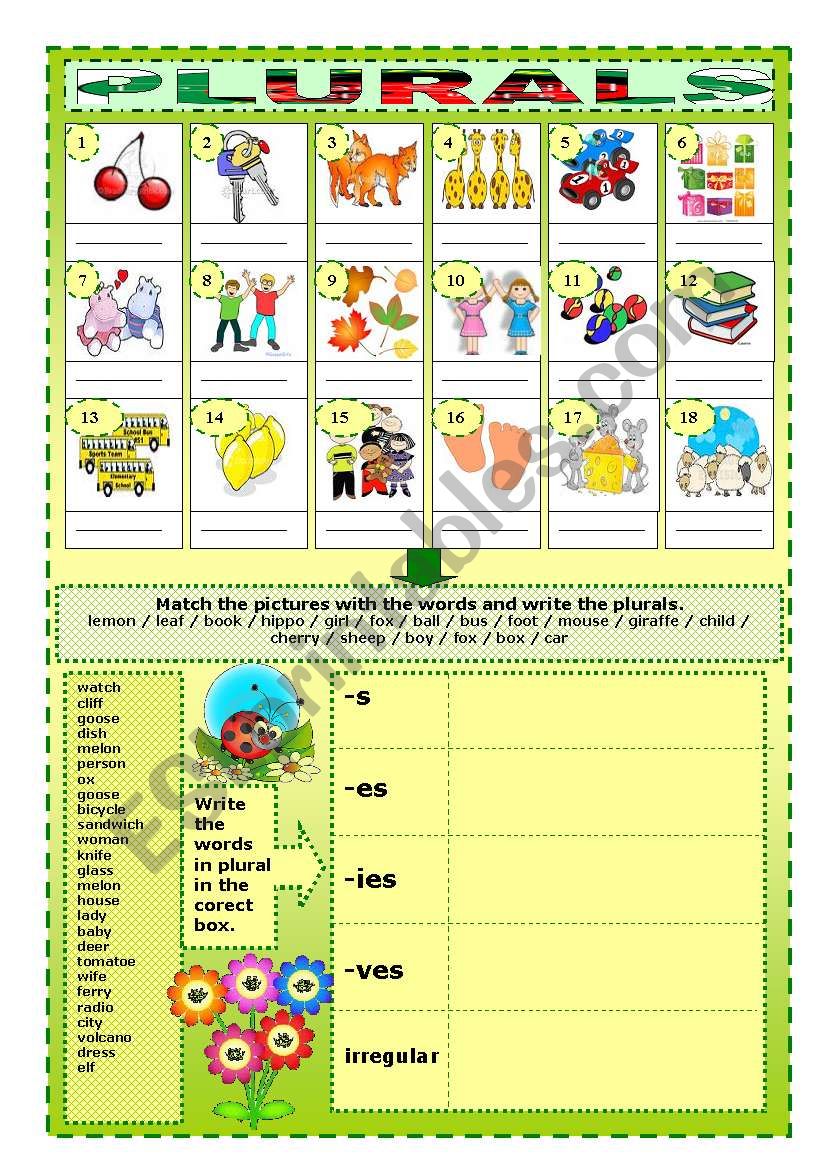 plurals worksheet