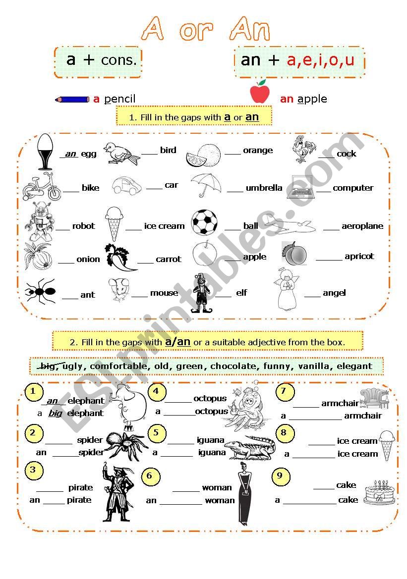 A  or an worksheet