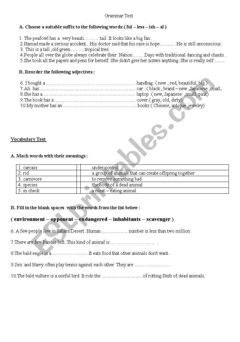 adjective order , vocabulary revision