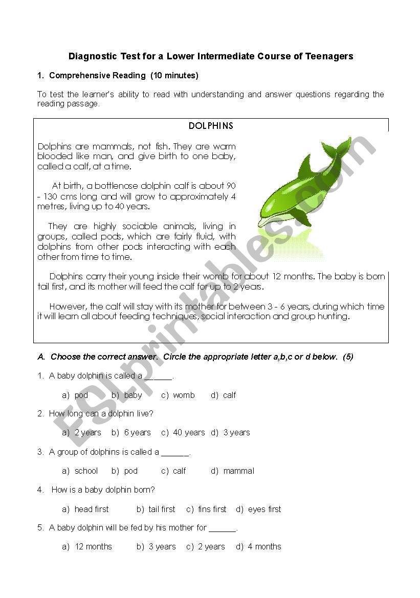 Diagnostic Test worksheet