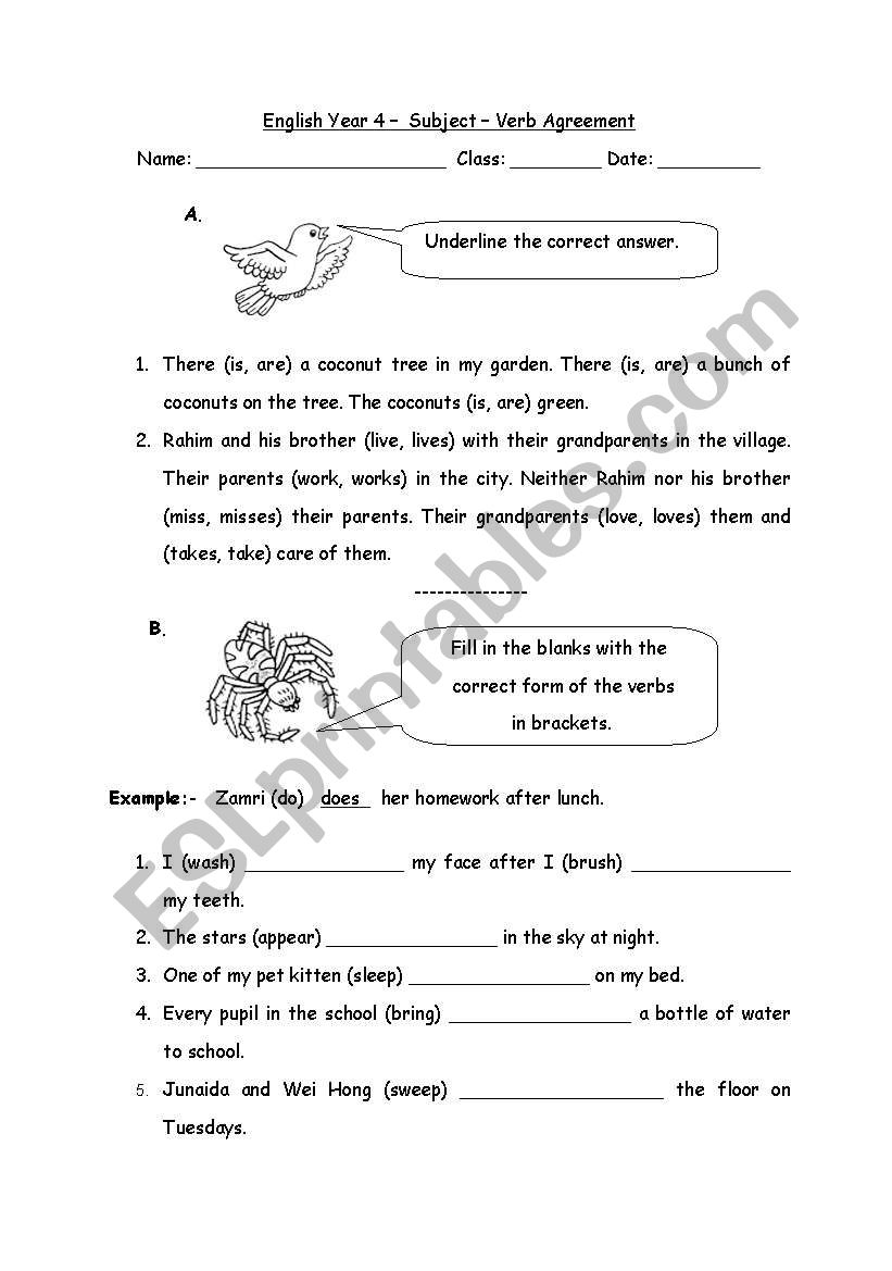 Subject  Verb Agreement worksheet