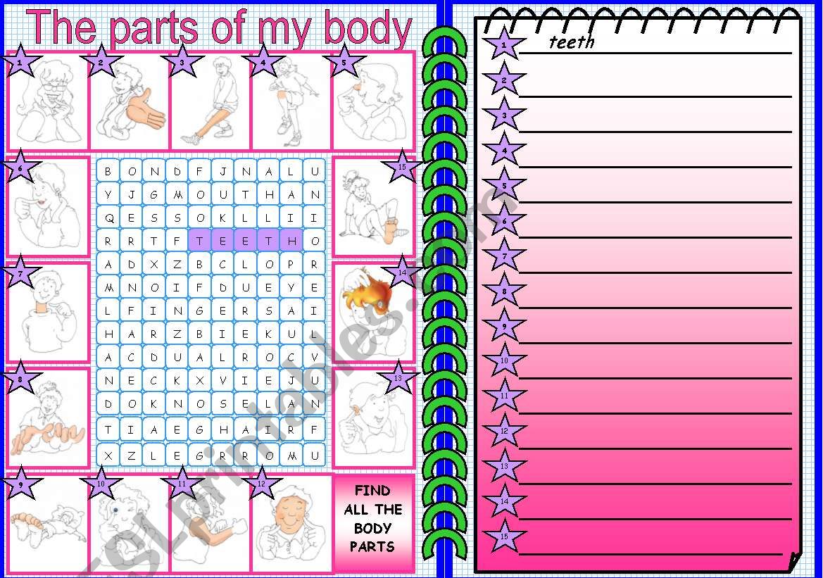 Part of the body worksheet