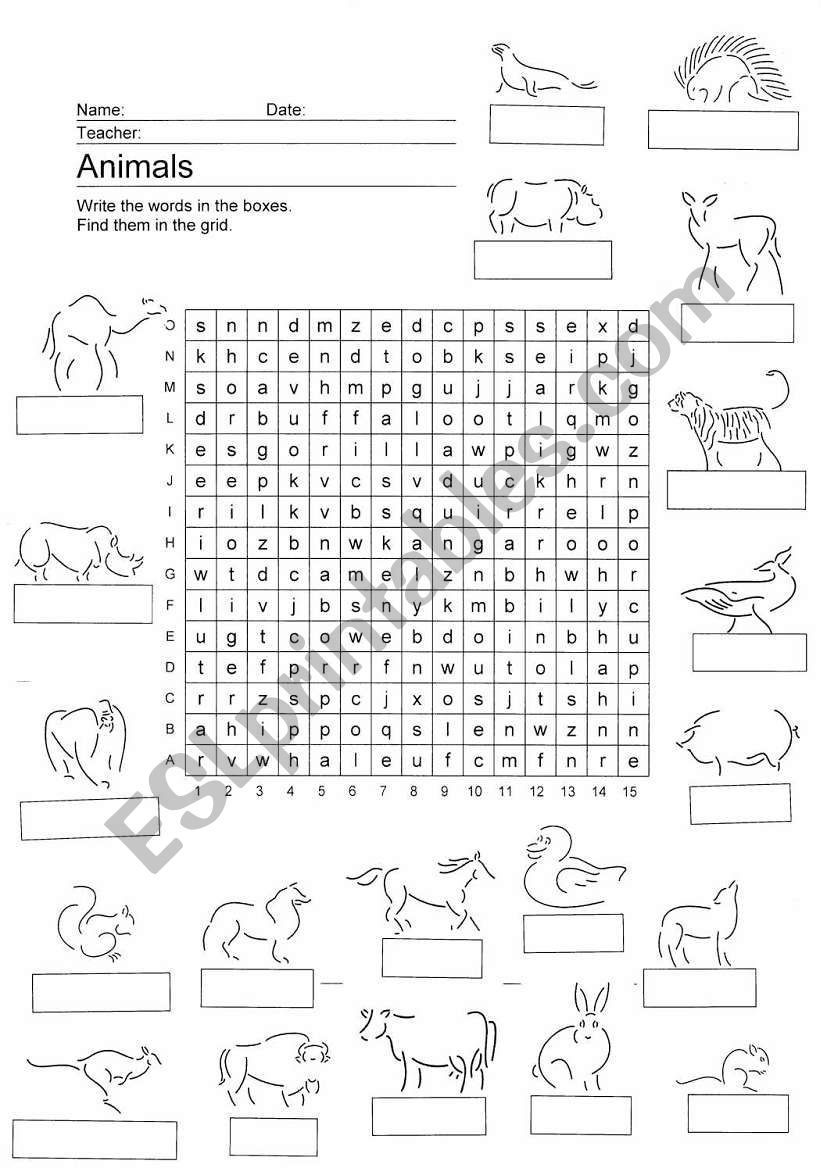 Picture Word Search - Animals worksheet