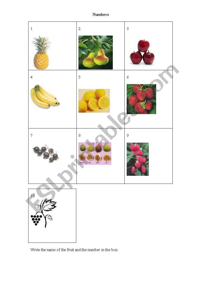 Numbers with fruit worksheet