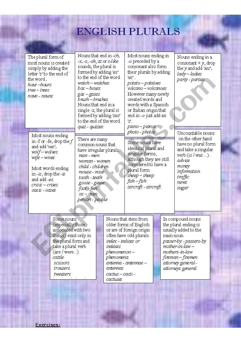 English plurals worksheet