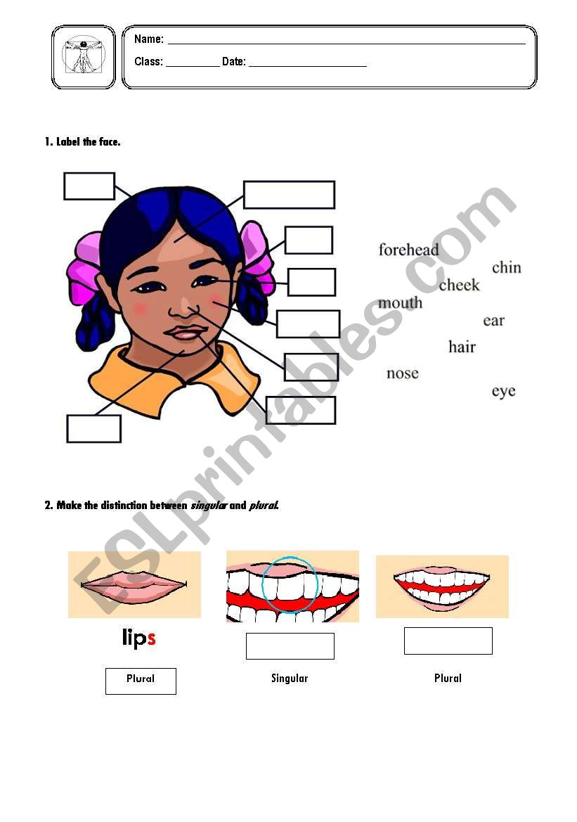 The Body (Head) worksheet