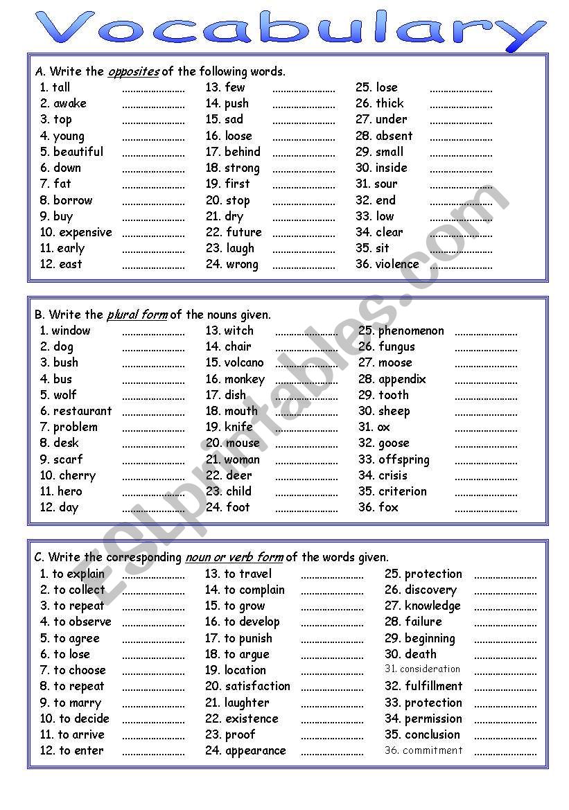 Vocabulary Review worksheet