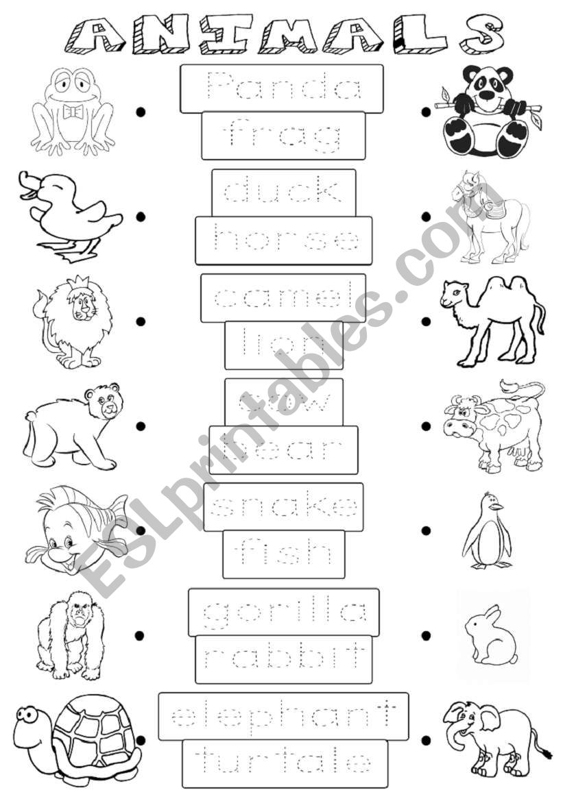 Animals 2 worksheet