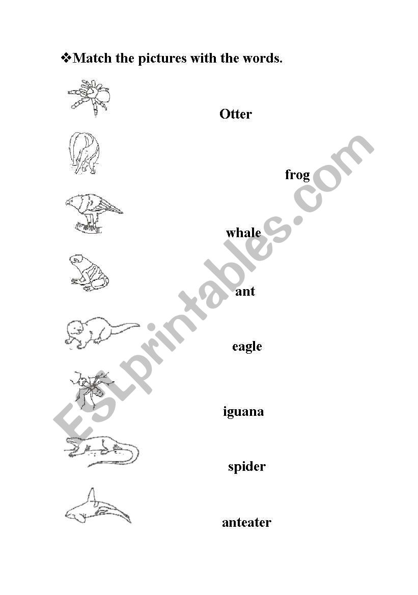 animals worksheet