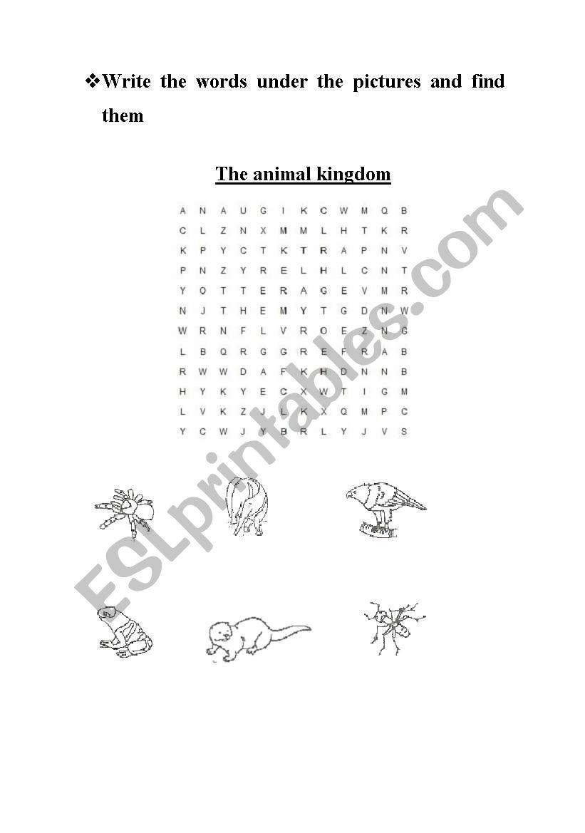 animals wordsearch worksheet