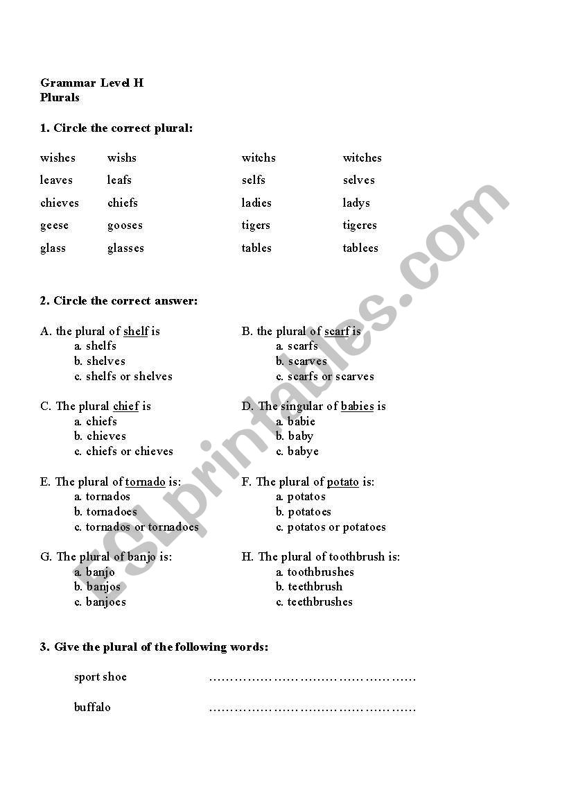 plurals worksheet