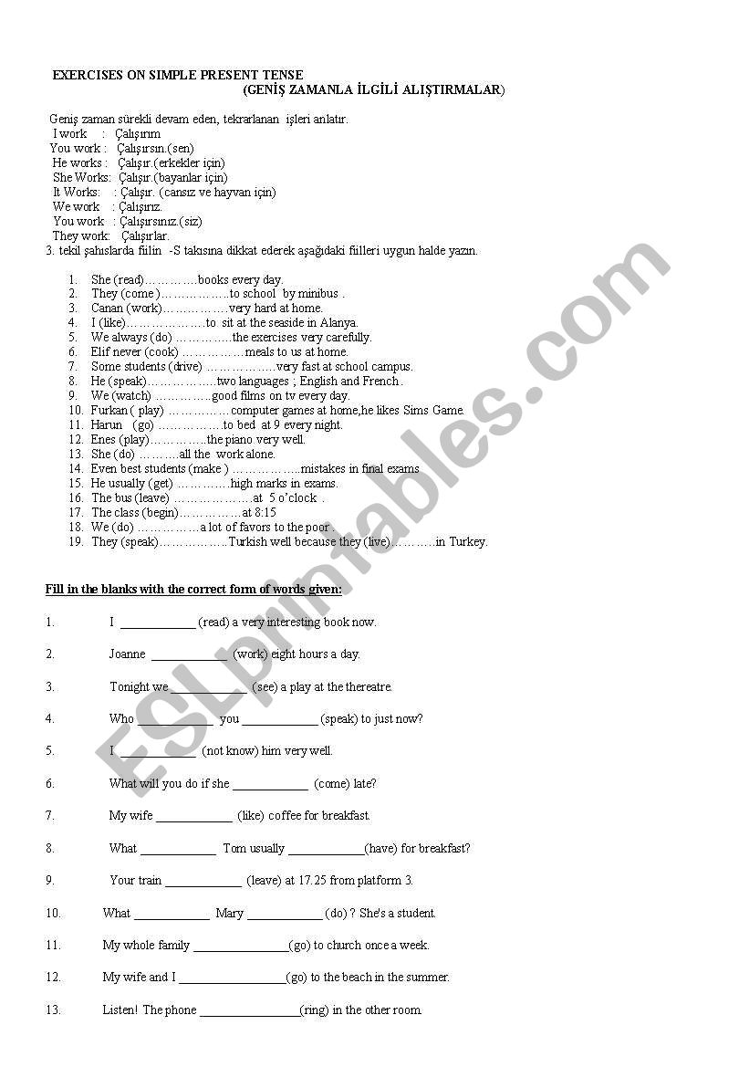 simple present tense worksheet