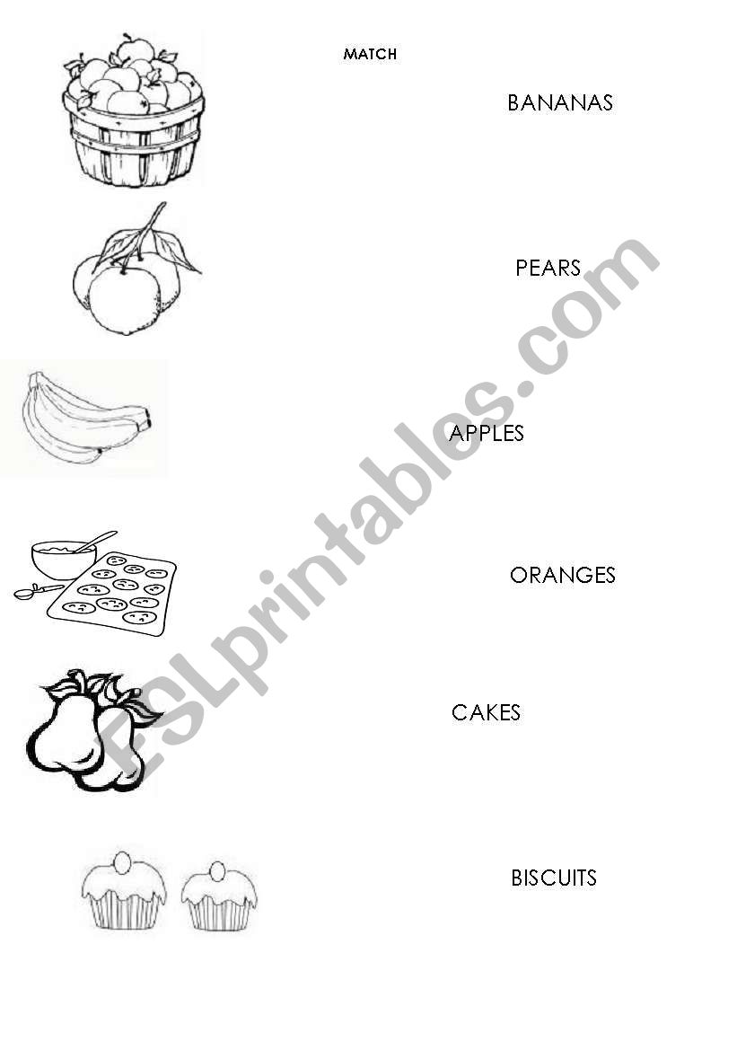 Match activity  worksheet