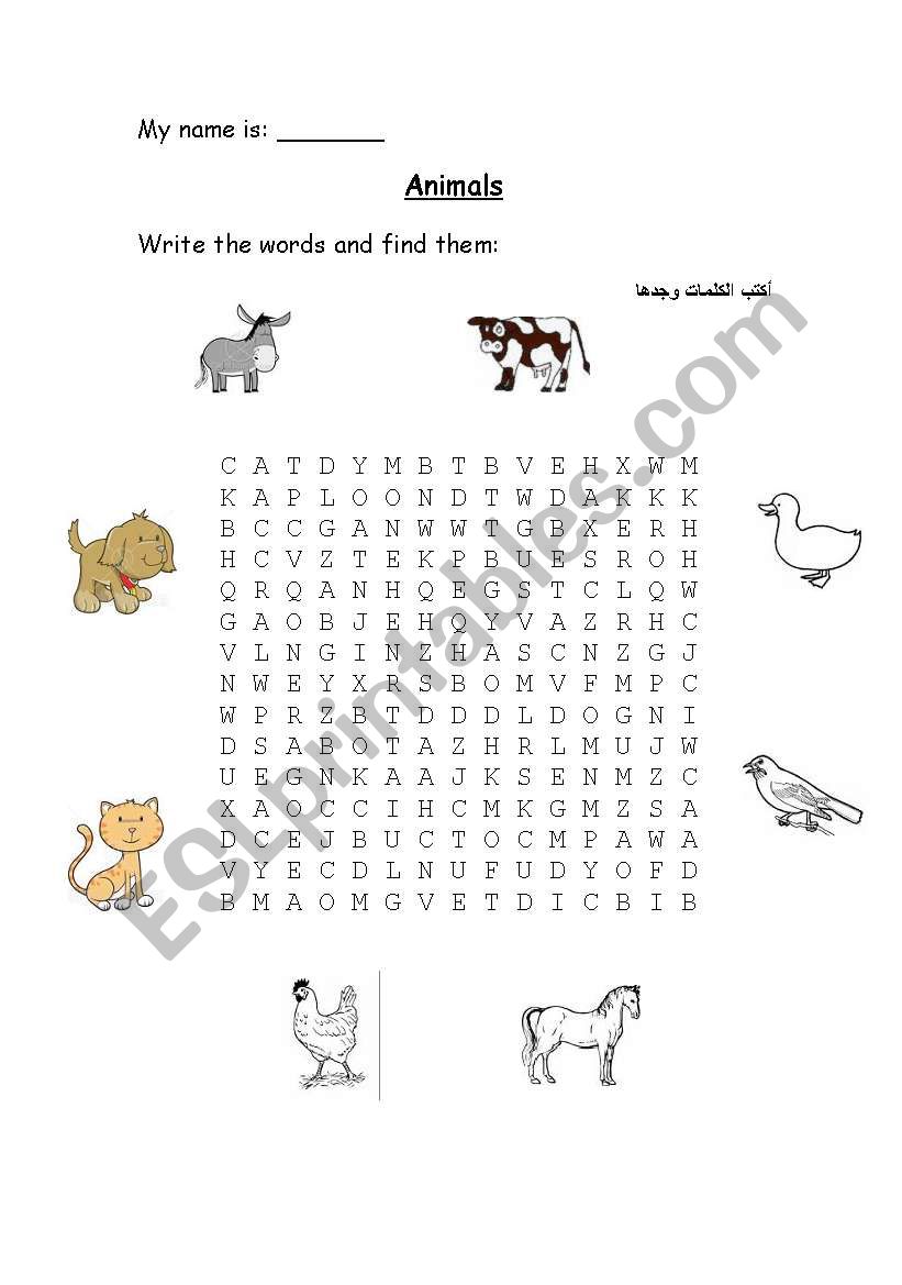 Animals worksheet