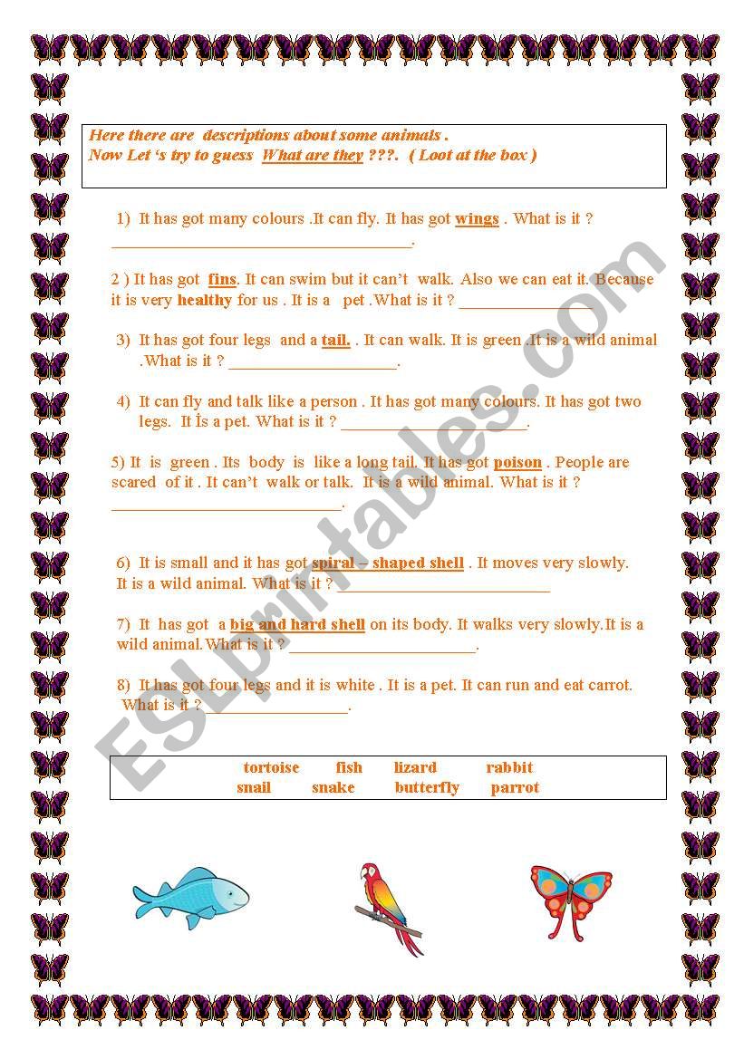 pets and wild animals worksheet