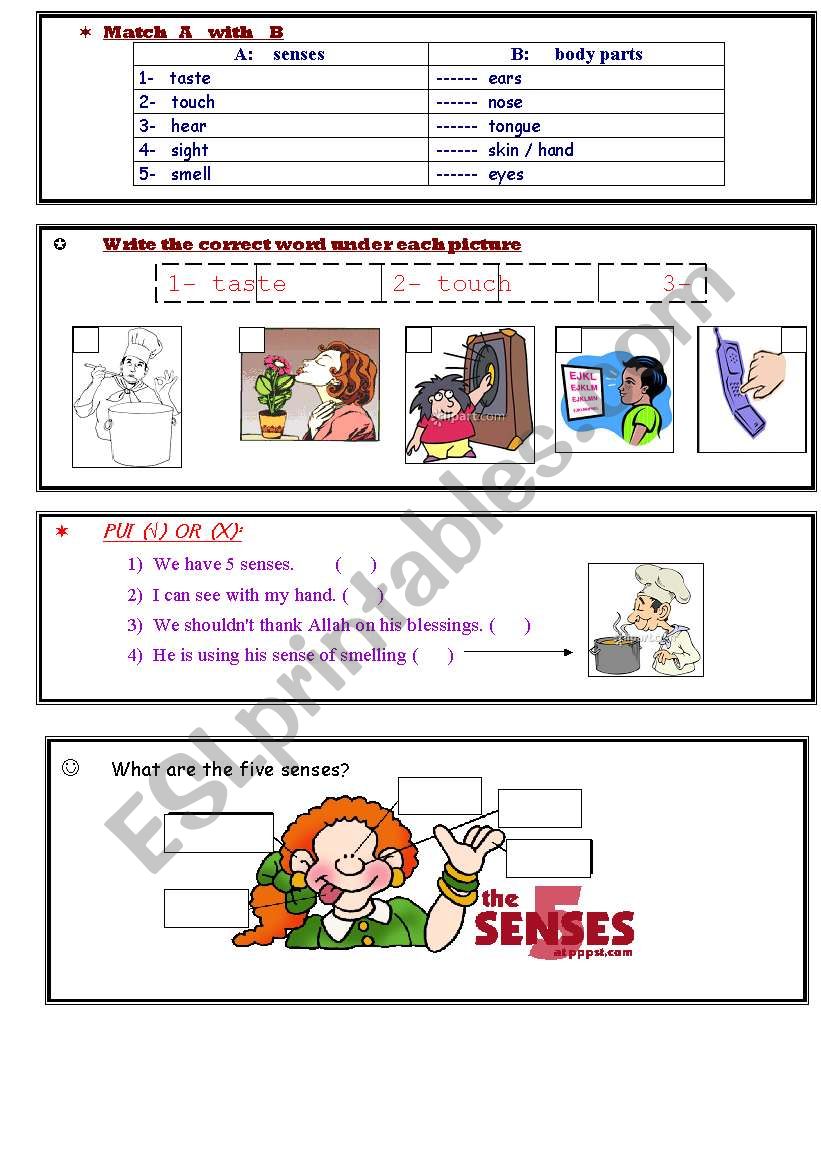 worksheet about the senses worksheet