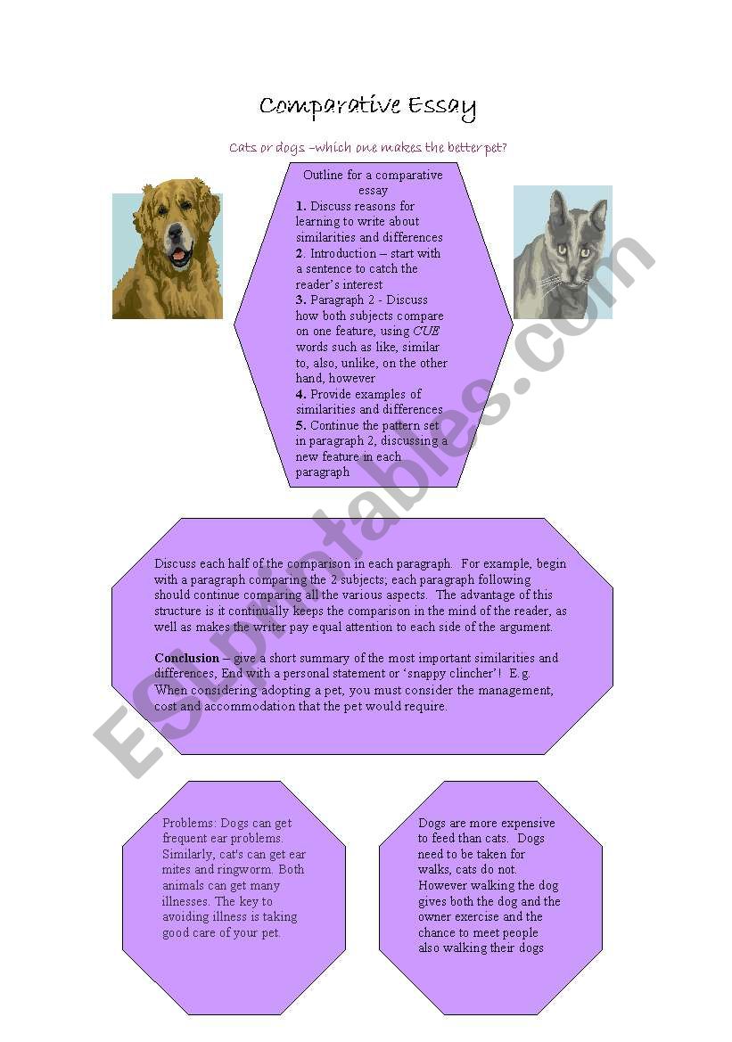 Comparative Essay worksheet