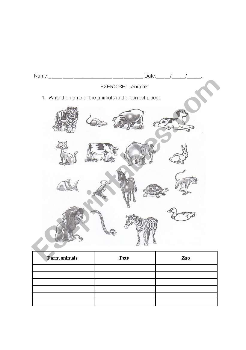 ANIMALS worksheet