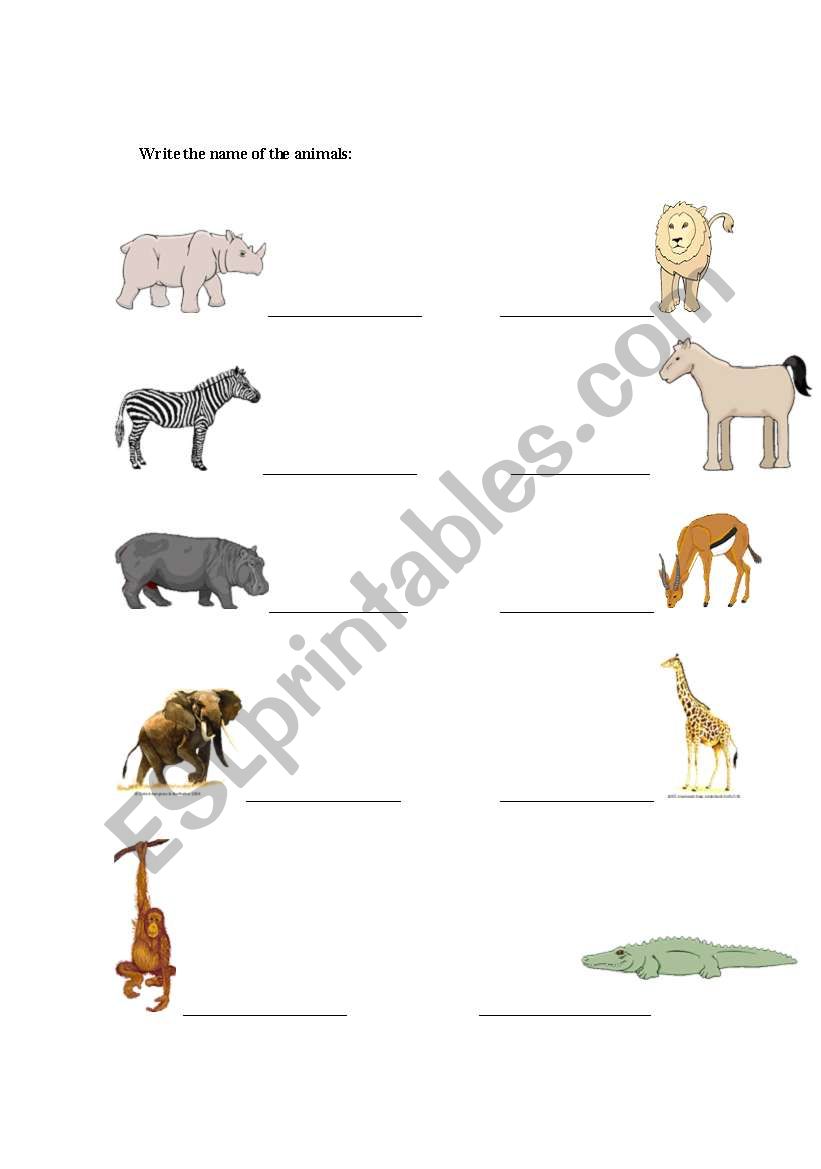 Write the name of the animals worksheet