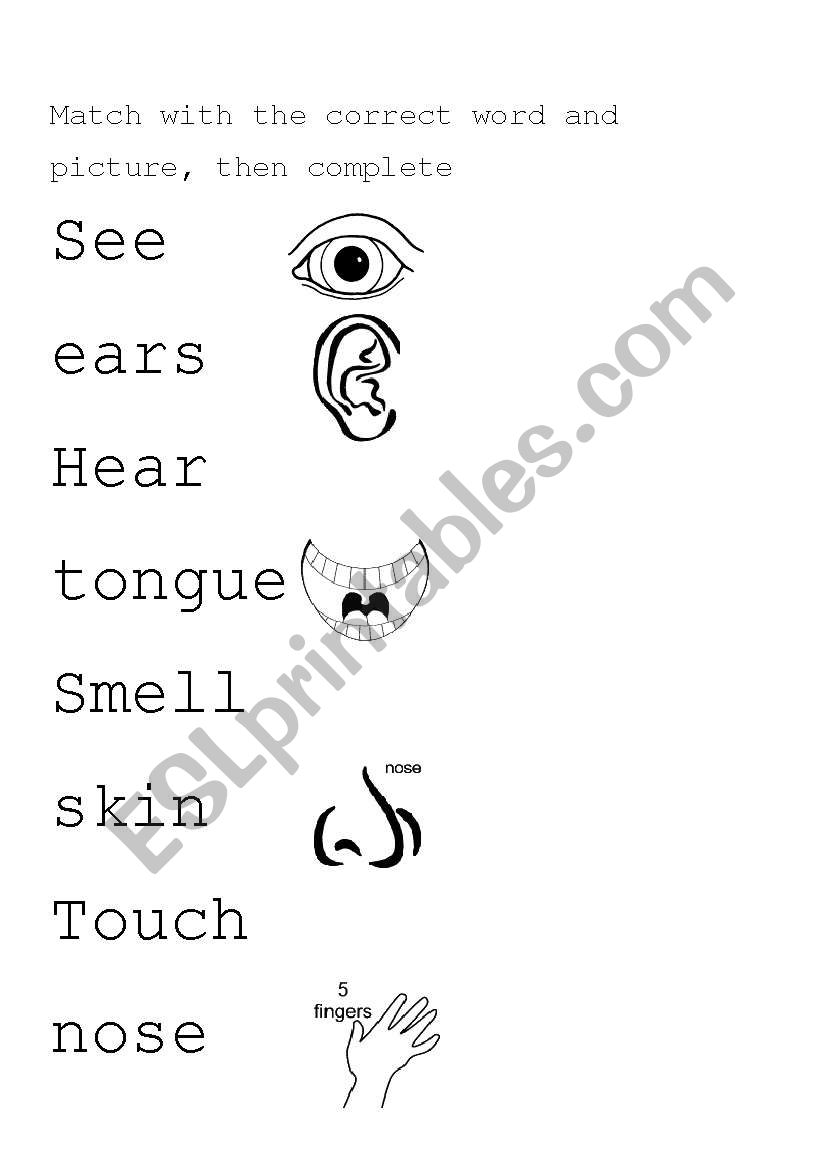 My five senses worksheet