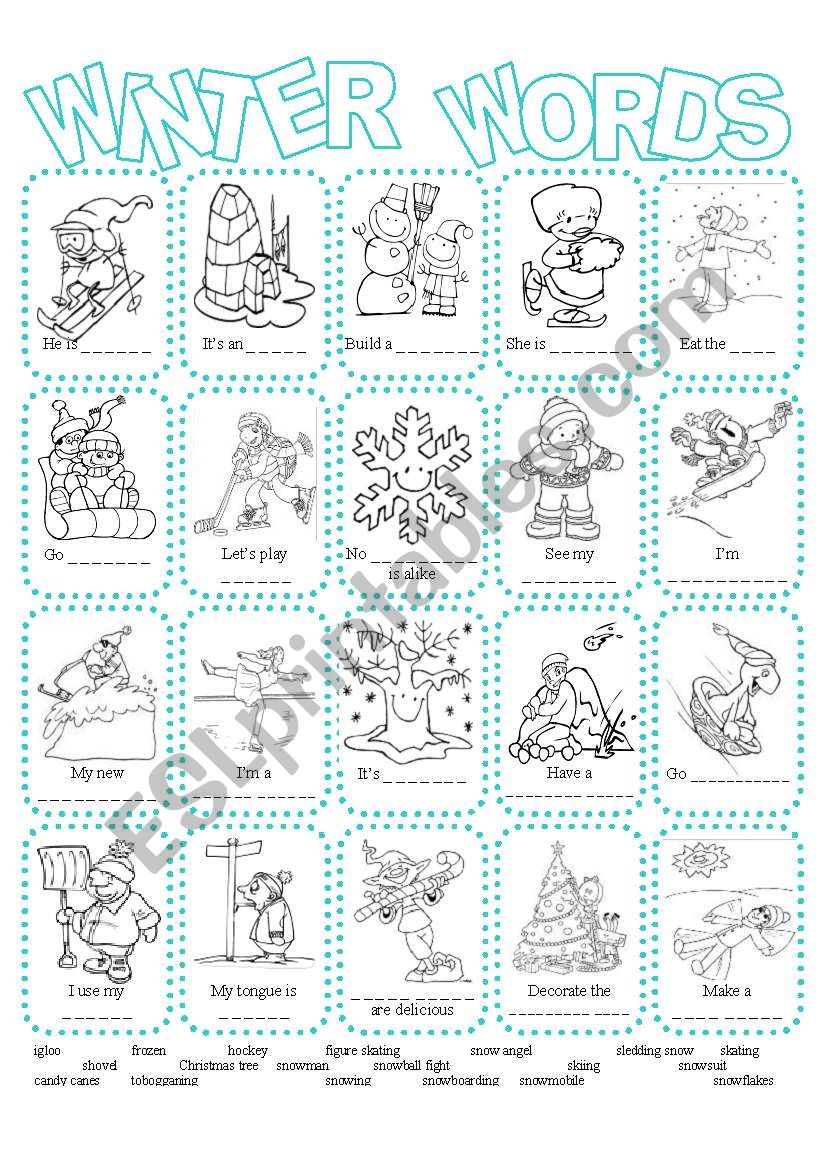 Winter Picture Dictionary worksheet