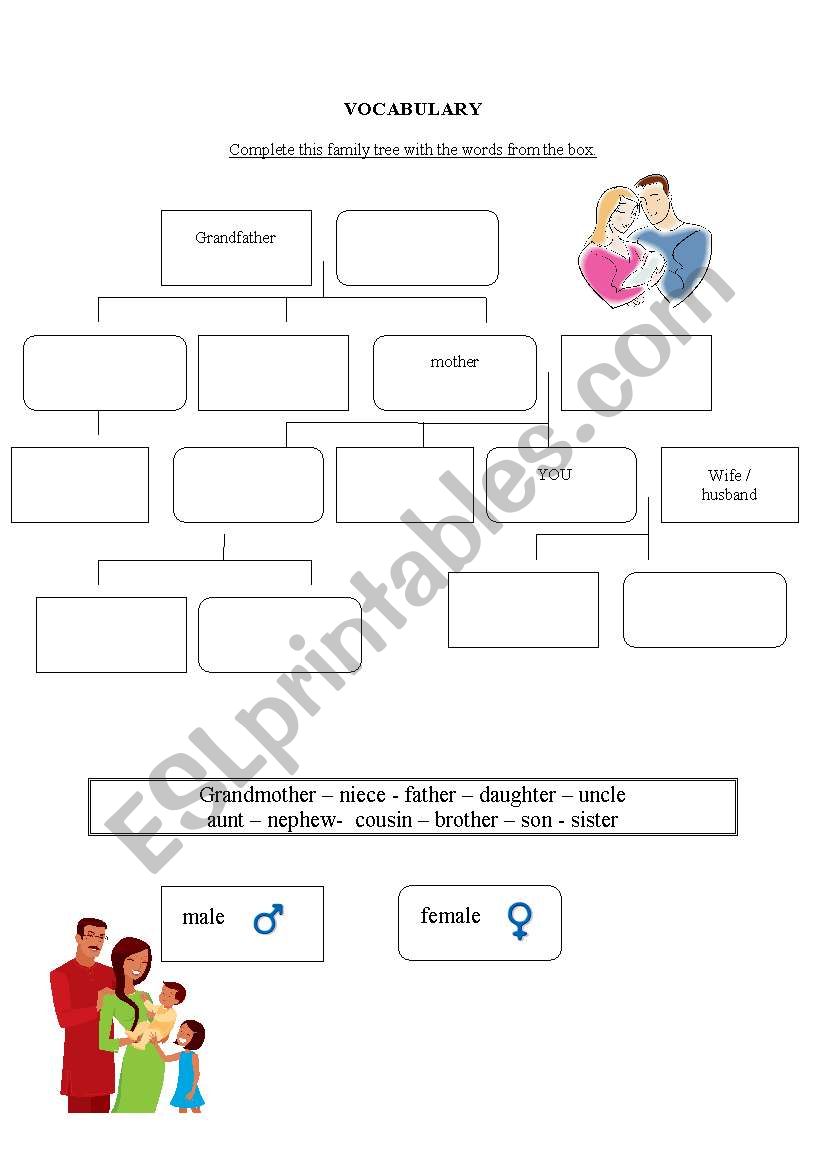 the family tree worksheet