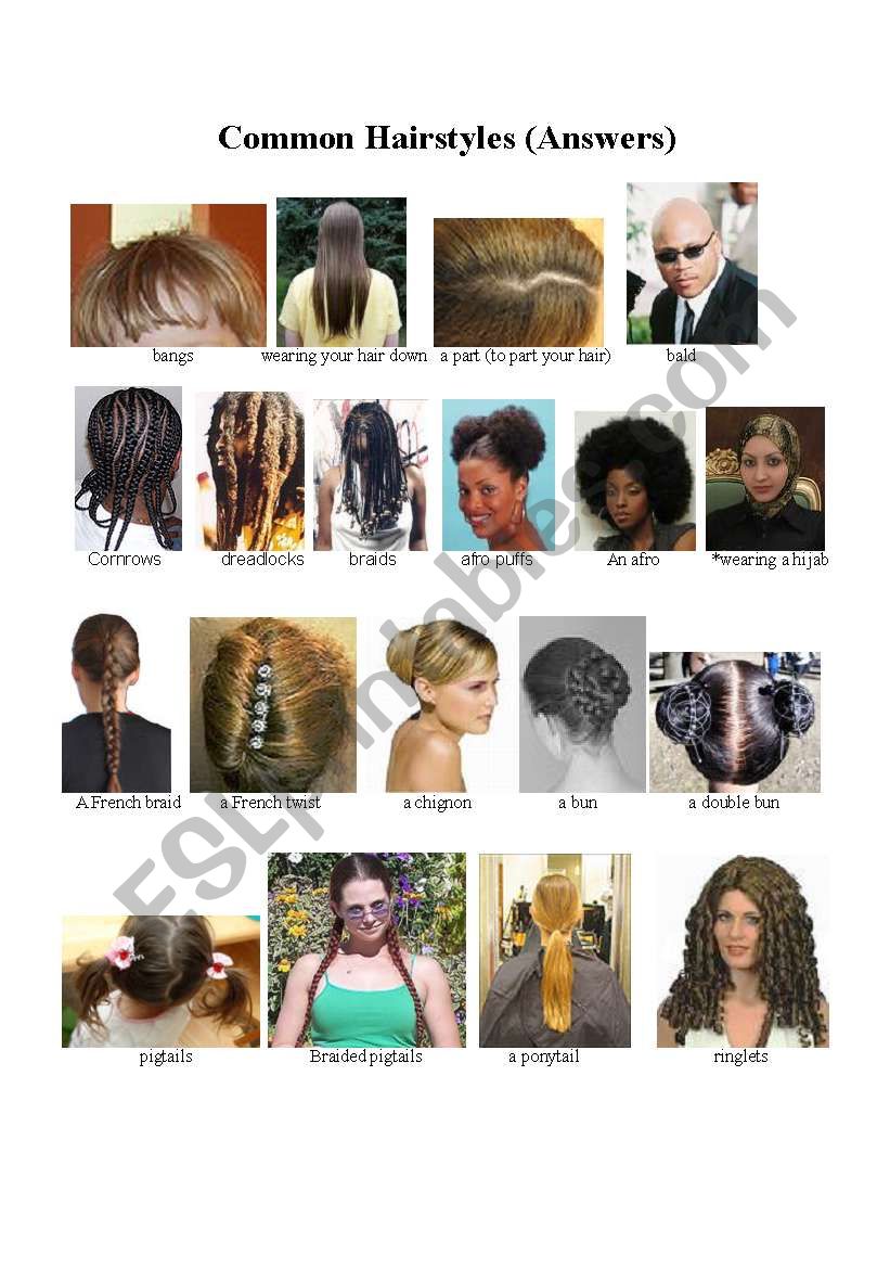 Names of Common Hairstyles worksheet