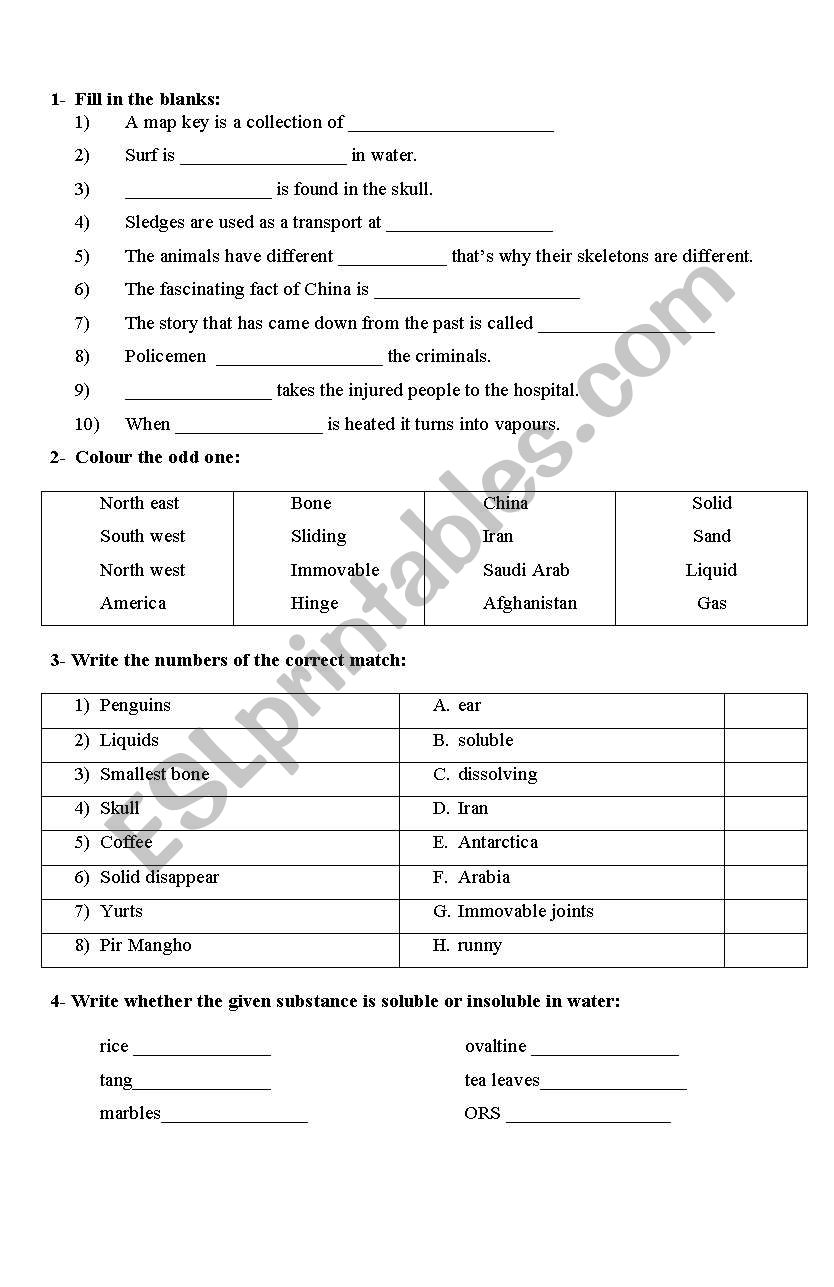 general knowledge worksheet