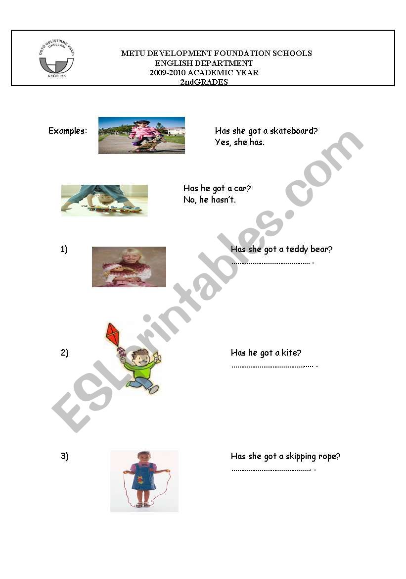 HAVE GOT HAS GOT QUESTIONS worksheet