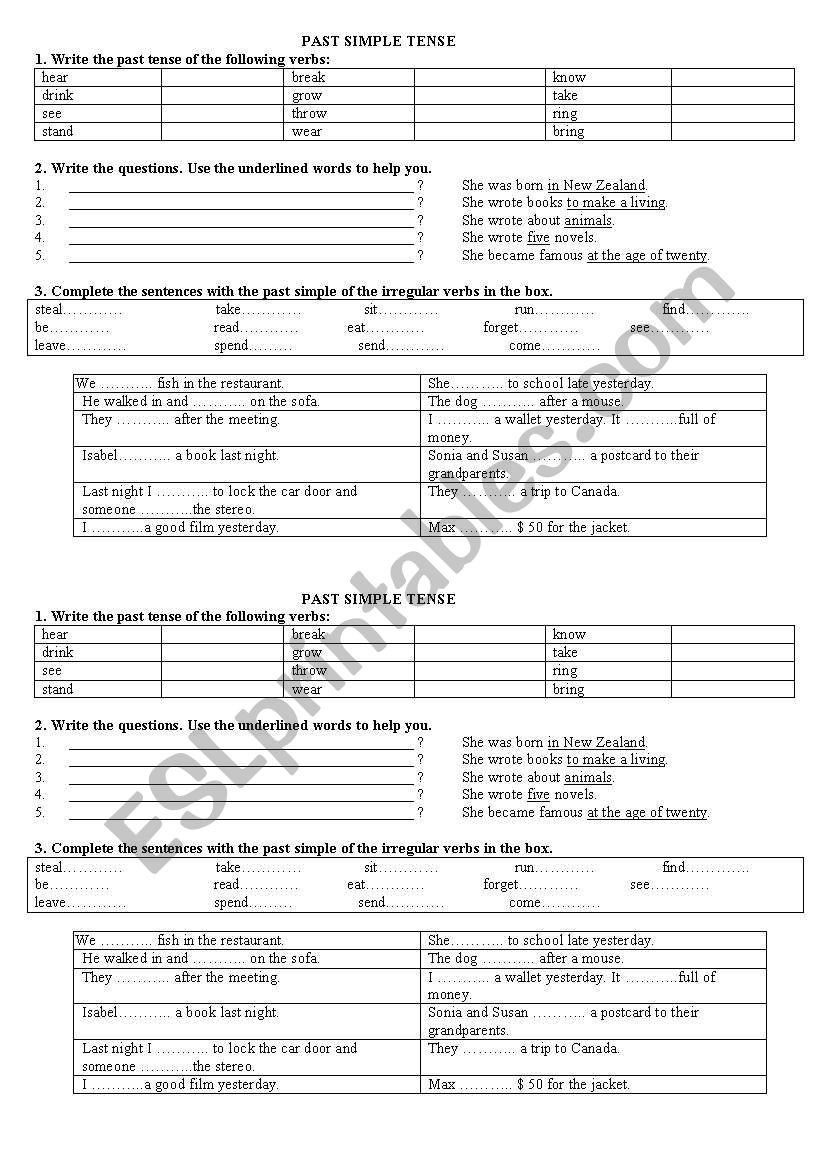 past simple tense worksheet