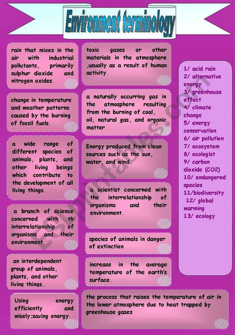 environment terminology worksheet