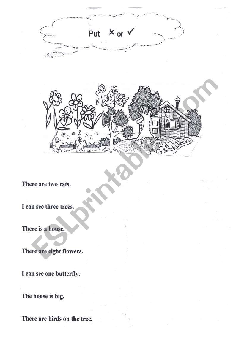 read and answer worksheet
