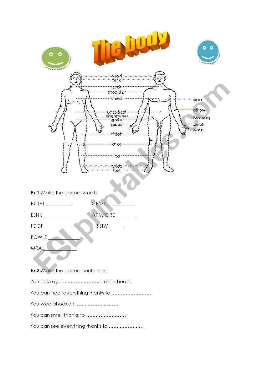 The body worksheet